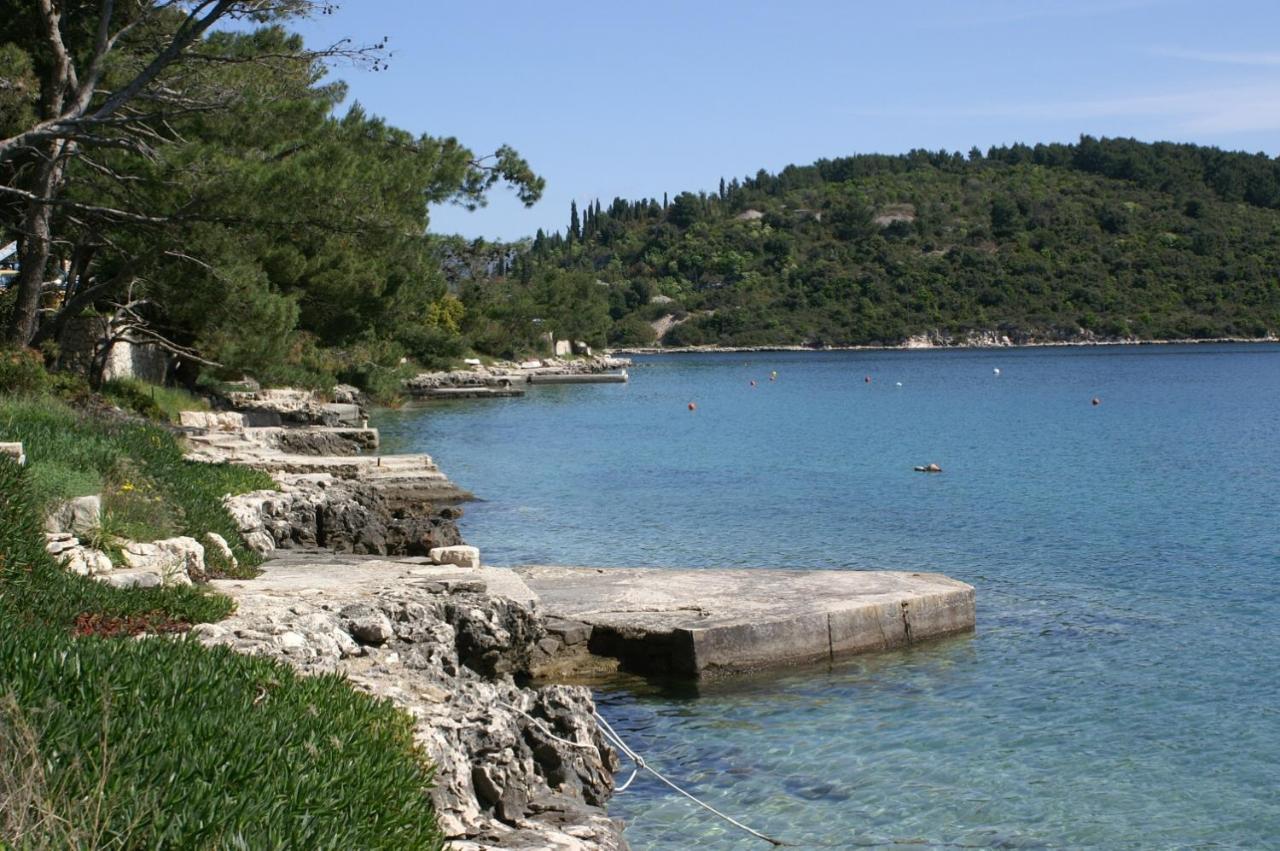 Apartments By The Sea Lumbarda, Korcula - 4440 Εξωτερικό φωτογραφία
